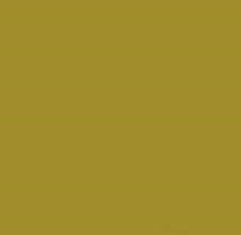 PMS619 Pantone Custom Spray Paint 300 Grams