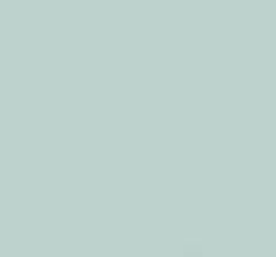 PMS622 Pantone Custom Spray Paint 300 Grams