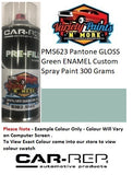 PMS623 Pantone Gloss Retro Green Enamel Custom Spray Paint 300 Grams