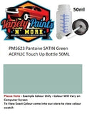 PMS623 Pantone Satin Retro Green Acrylic Custom Spray Paint 300 Grams