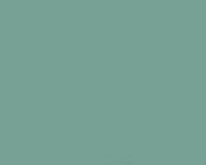 PMS624 Pantone Custom Spray Paint 300 Grams