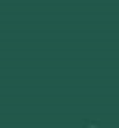 PMS626 Pantone Custom Spray Paint 300 Grams