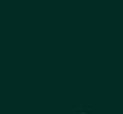 PMS627 Pantone Green Custom Spray Paint 300 Grams