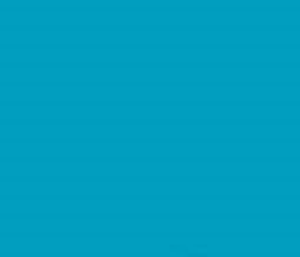 PMS632 Pantone Custom Spray Paint 300 Grams
