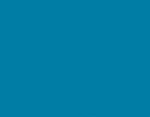 PMS633 Pantone Custom Spray Paint 300 Grams