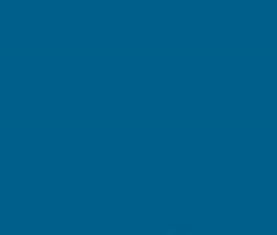 PMS634 Pantone Custom Spray Paint 300 Grams
