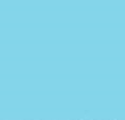 PMS636 Pantone Custom Spray Paint 250ml