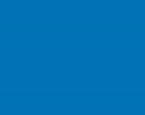 PMS641 Pantone Custom Spray Paint 300 Grams