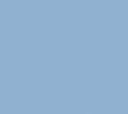 PMS644 Pantone Custom Spray Paint 300 Grams