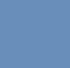 PMS652 Pantone Custom Spray Paint 300 Grams