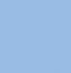 PMS658 Pantone Custom Spray Paint 300 Grams