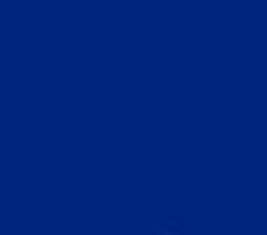 PMS662 Pantone Custom Spray Paint 300 Grams