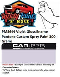 PMS664 Violet Gloss Enamel Pantone Custom Spray Paint 300 Grams