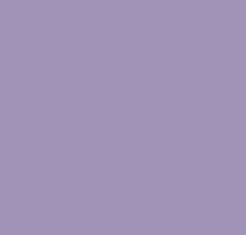 PMS666 Pantone Custom Spray Paint 300 Grams