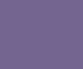 PMS667 Pantone Custom Spray Paint 300 Grams