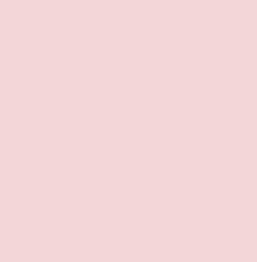 PMS670 Pantone Custom Spray Paint 300 Grams
