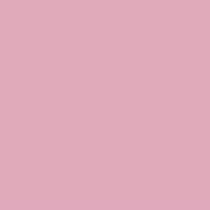 PMS686 Pantone Custom Spray Paint 300 Grams