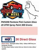 PMS698 Pantone Pink Custom Gloss 2K DTM Spray Paint 300 Grams