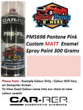 PMS698 Pantone Pink Custom MATT Enamel Spray Paint 300 Grams 