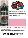 PMS700 Pantone Custom Pink Enamel Gloss Spray Paint 300 GRAMS