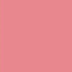 PMS701 Pantone Custom Pink Enamel Gloss Spray Paint 300 GRAMS