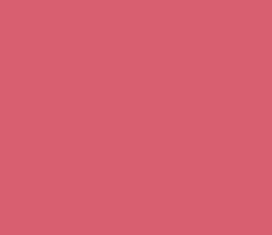 PMS702 Pantone Custom Pink Enamel Gloss Spray Paint 300 GRAMS