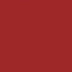 PMS704 Pantone Custom Red Enamel Gloss Spray Paint 300 GRAMS