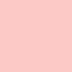 PMS706 Pantone Custom Pink Enamel Gloss Spray Paint 300 GRAMS