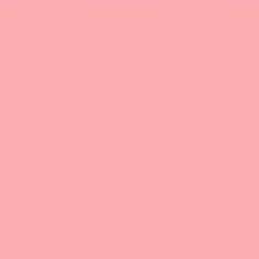 PMS707 Pantone Custom Pink Enamel Gloss Spray Paint 300 GRAMS