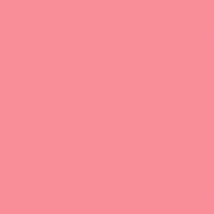 PMS708 Pantone Custom Pink Enamel Gloss Spray Paint 300 GRAMS