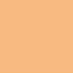 PMS714 Pantone Custom Orange Gloss Enamel Spray Paint 300 Grams