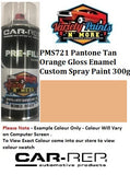 PMS721 Pantone Tan Orange Gloss Enamel Custom Spray Paint 300g