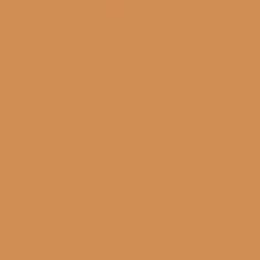 PMS722 Orange Tan Gloss Acrylic Pantone Custom Spray Paint 300 Grams