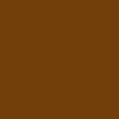 PMS731 Pantone Brown Gloss Enamel Custom Spray Paint 300g