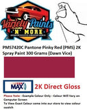 PMS7420C Pantone Pinky Red (PMS) 2K Spray Paint 300 Grams (Dawn Vice) 