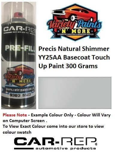 Precis Natural Shimmer Matt YY25AA Basecoat Touch Up Paint 300 Grams
