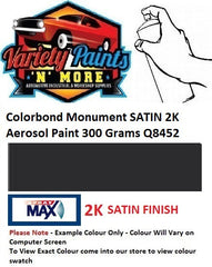 000124 Colorbond® Monument SATIN 2K Aerosol Paint 300 Grams