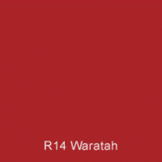 R14 Waratah Australian Standard Gloss Enamel Custom Spray Paint 300 Grams
