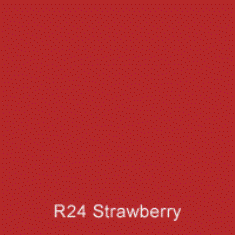 R24 Strawberry Australian Standard Gloss Enamel Spray Paint 300 Grams