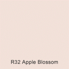 R32 Apple Blossom Australian Standard Gloss Enamel Spray Paint 300 Grams