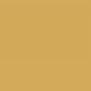 RAL1001 Beige Gloss Enamel  Custom Mixed Spray Paint 300 Grams