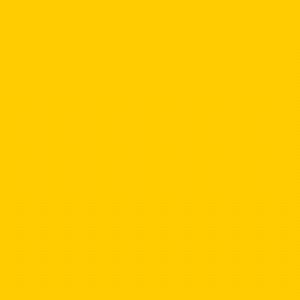 RAL1003 Signal Yellow GLOSS Enamel Custom Mixed Spray Paint 300 Grams 1IS 88A
