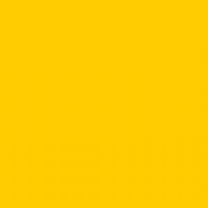 RAL1003 Signal Yellow SATIN Enamel Custom Mixed Spray Paint 300 Grams