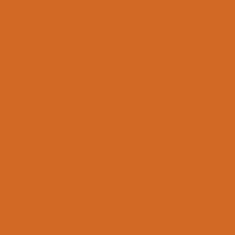 RAL2012 Salmon Range / Lachsorange  Gloss Enamel Spray Paint 300G