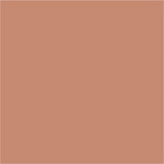 RAL3012 Beige Red Custom Gloss Acrylic Spray Paint 300 Grams