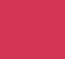 RAL3017 Rose Gloss Enamel Spray Paint 300 Grams