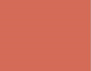 RAL3022 Salmon Pink Gloss Enamel Spray Paint 300 Grams