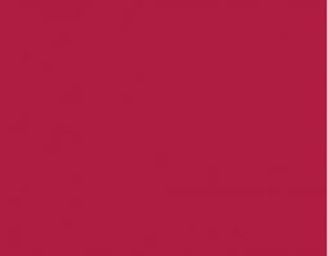 RAL3027  Raspberry Red Gloss Enamel Spray Paint 300 Grams