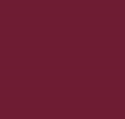 RAL4004 Claret Violet Gloss Enamel Spray Paint 300 grams