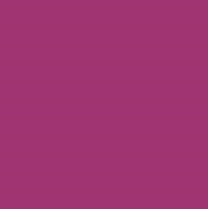 RAL4006 Traffic purple Gloss Enamel Spray Paint 300 grams